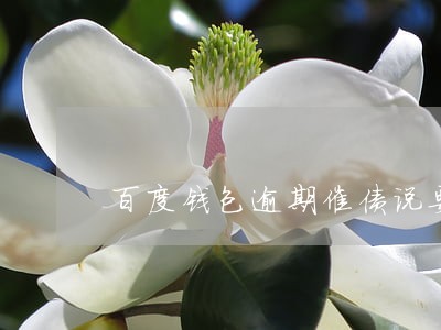 百度钱包逾期催债说要公安报案 百度钱包逾期催债说要公安报案