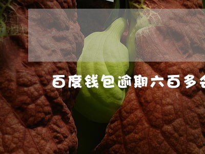 百度钱包逾期六百多会怎么样 百度钱包逾期六百多会怎么样