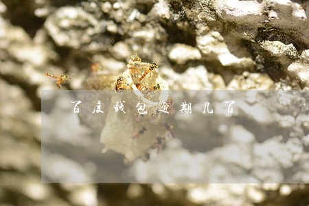 百度钱包逾期几百 百度钱包逾期几百