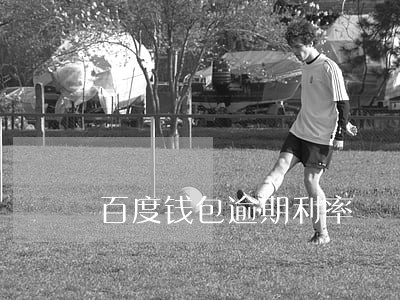 百度钱包逾期利率 百度钱包逾期利率