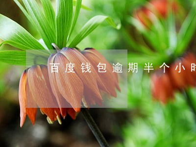 百度钱包逾期半个小时了怎么办 百度钱包逾期半个小时了怎么办