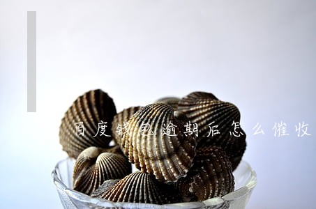 百度钱包逾期后怎么催收 百度钱包逾期后怎么催收