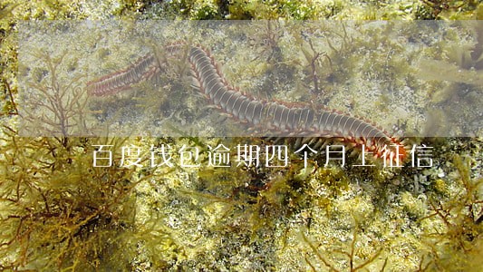 百度钱包逾期四个月上征信 百度钱包逾期四个月上征信