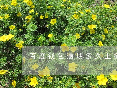 百度钱包逾期多久上征信 百度钱包逾期多久上征信