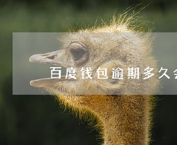 百度钱包逾期多久会全款 百度钱包逾期多久会全款