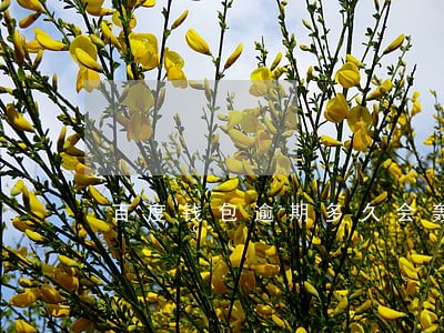 百度钱包逾期多久会轰炸 百度钱包逾期多久会轰炸