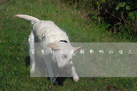 百度钱包逾期影响征信不 百度钱包逾期影响征信不