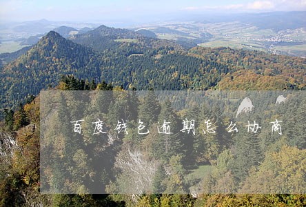 百度钱包逾期怎么协商 百度钱包逾期怎么协商