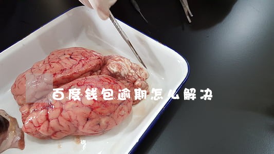 百度钱包逾期怎么解决 百度钱包逾期怎么解决