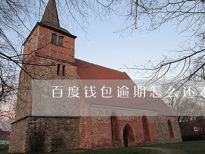 百度钱包逾期怎么还本金 百度钱包逾期怎么还本金