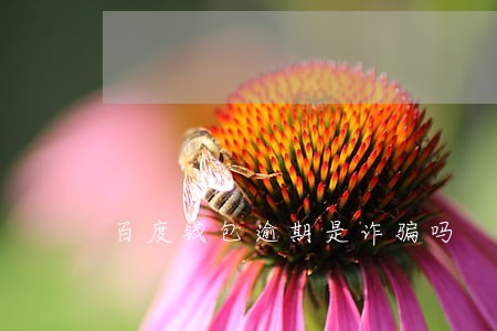 百度钱包逾期是诈骗吗