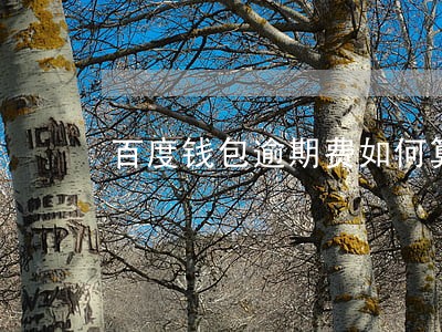 百度钱包逾期费如何算