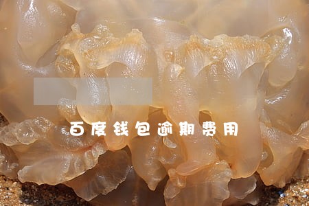 百度钱包逾期费用 百度钱包逾期费用