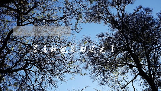 百度钱包逾期还完了 百度钱包逾期还完了