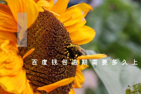 百度钱包逾期需要多久上征信 百度钱包逾期需要多久上征信