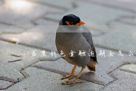 百度钱包金融逾期会怎么样 百度钱包金融逾期会怎么样