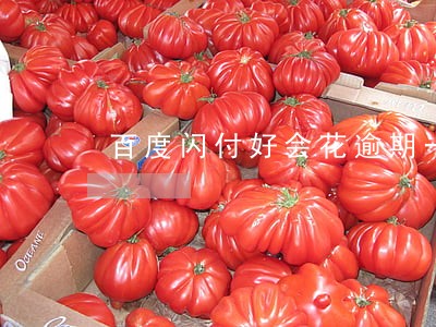 百度闪付好会花逾期一天可以吗 百度闪付好会花逾期一天可以吗