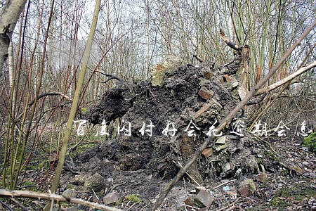 百度闪付好会花逾期会怎么样 百度闪付好会花逾期会怎么样