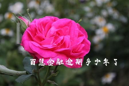 百慧金融逾期多少年了 百慧金融逾期多少年了