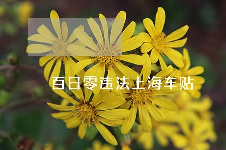 百日零违法上海车贴 百日零违法上海车贴