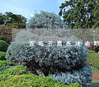 百旺开票系统逾期抄报税 百旺开票系统逾期抄报税