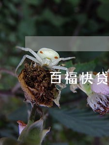 百福快贷逾期2天 百福快贷逾期2天
