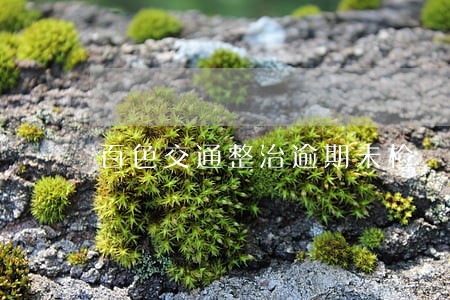 百色交通整治逾期未检