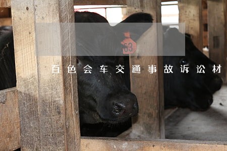 百色会车交通事故诉讼材料