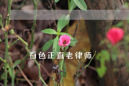 百色正直老律师 百色正直老律师