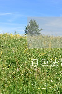 百色法制铜雕塑价格 百色法制铜雕塑价格