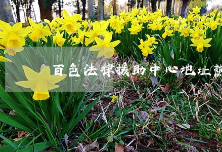 百色法律援助中心地址热线电话 百色法律援助中心地址热线电话