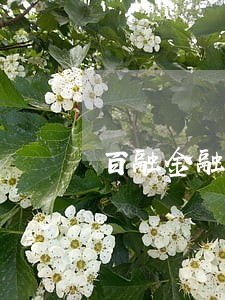 百融金融逾期 百融金融逾期
