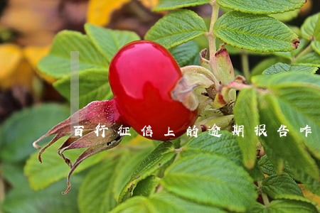 百行征信上的逾期报告咋删除 百行征信上的逾期报告咋删除