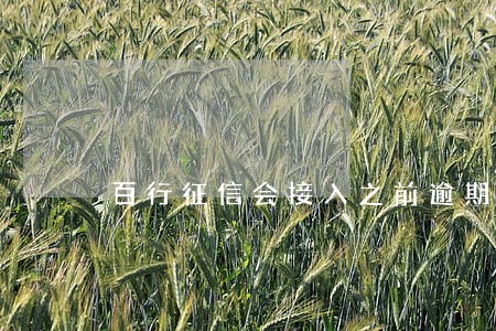 百行征信会接入之前逾期信息么 百行征信会接入之前逾期信息么