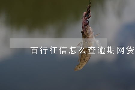 百行征信怎么查逾期网贷 百行征信怎么查逾期网贷