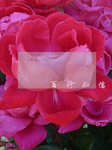 百行征信查不到捷信逾期记录 百行征信查不到捷信逾期记录