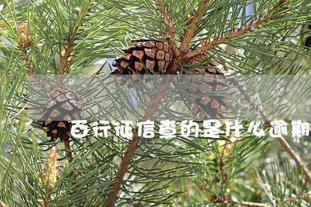百行征信查的是什么逾期记录 百行征信查的是什么逾期记录