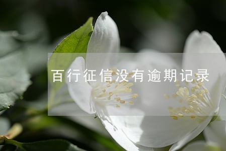 百行征信没有逾期记录 百行征信没有逾期记录