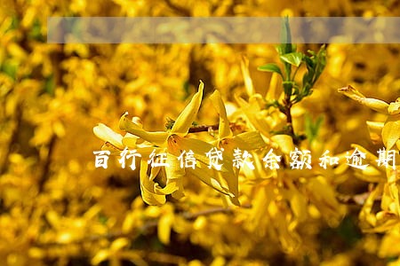 百行征信贷款余额和逾期总额 百行征信贷款余额和逾期总额