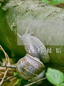 百行征信逾期司法仲裁 百行征信逾期司法仲裁