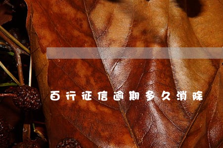 百行征信逾期多久消除 百行征信逾期多久消除