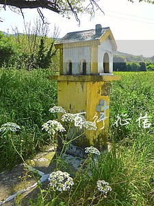 百行征信逾期消除 百行征信逾期消除