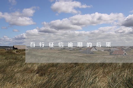百行征信逾期的后果 百行征信逾期的后果