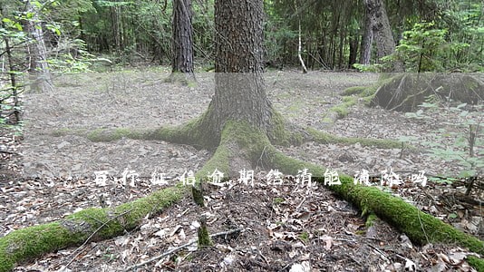 百行征信逾期结清能消除吗 百行征信逾期结清能消除吗