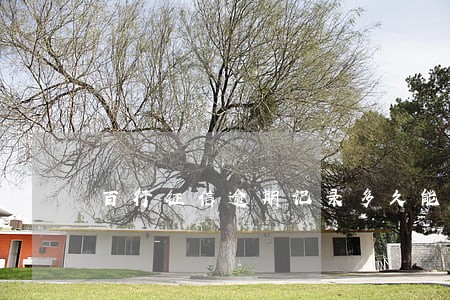 百行征信逾期记录多久能消除 百行征信逾期记录多久能消除