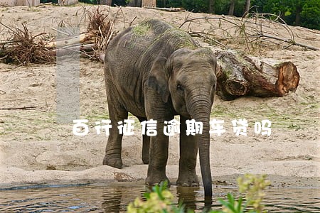 百行征信逾期车贷吗 百行征信逾期车贷吗