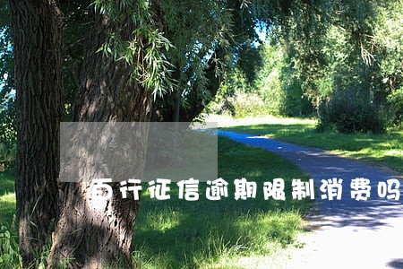 百行征信逾期限制消费吗 百行征信逾期限制消费吗