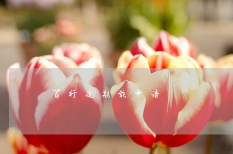 百行逾期能申请 百行逾期能申请