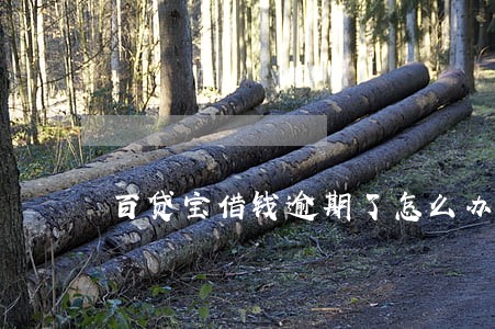 百贷宝借钱逾期了怎么办 百贷宝借钱逾期了怎么办