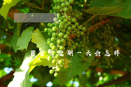 百贷宝逾期一天会怎样 百贷宝逾期一天会怎样